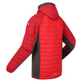 Chinese Red-Dark Red - Lifestyle - Regatta Mens Trutton Hooded Soft Shell Jacket