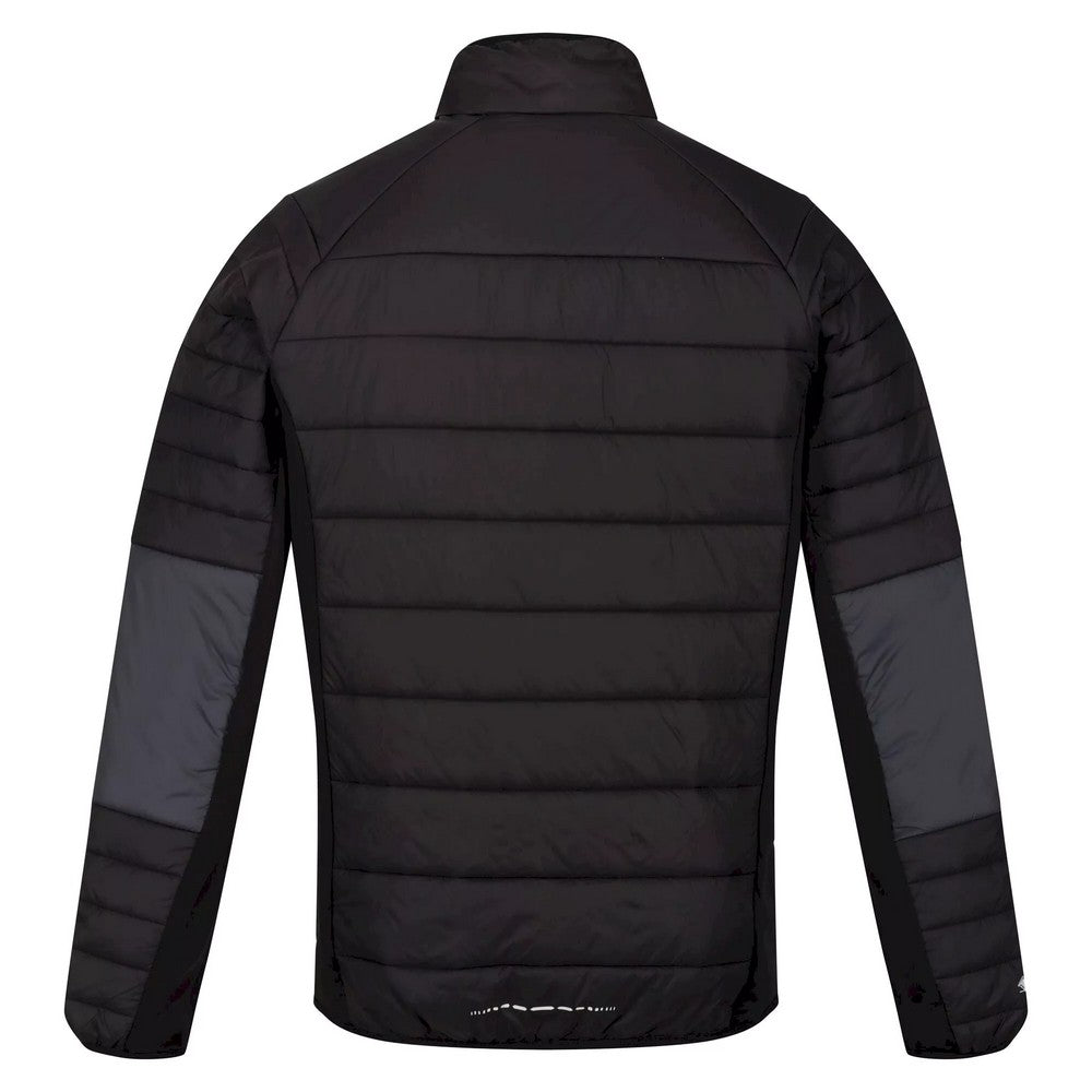 Dark Grey-Black - Back - Regatta Mens Halton VI Soft Shell Jacket