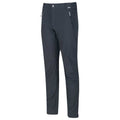 Ash - Side - Regatta Great Outdoors Mens Adventure Tech Geo II Wind Resistant Regular Leg Softshell Trousers