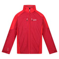 Dark Red-Chinese Red - Front - Regatta Mens Calderdale Waterproof Jacket