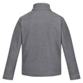 Storm Grey-Black - Back - Regatta Mens Garrian II Full Zip Fleece Jacket