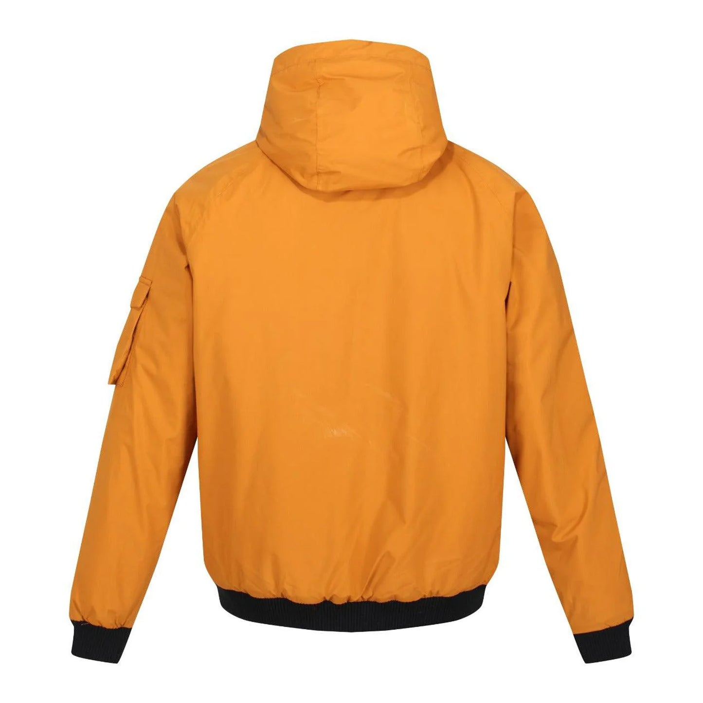 Cathay Spice - Back - Regatta Mens Faizan Hooded Waterproof Jacket