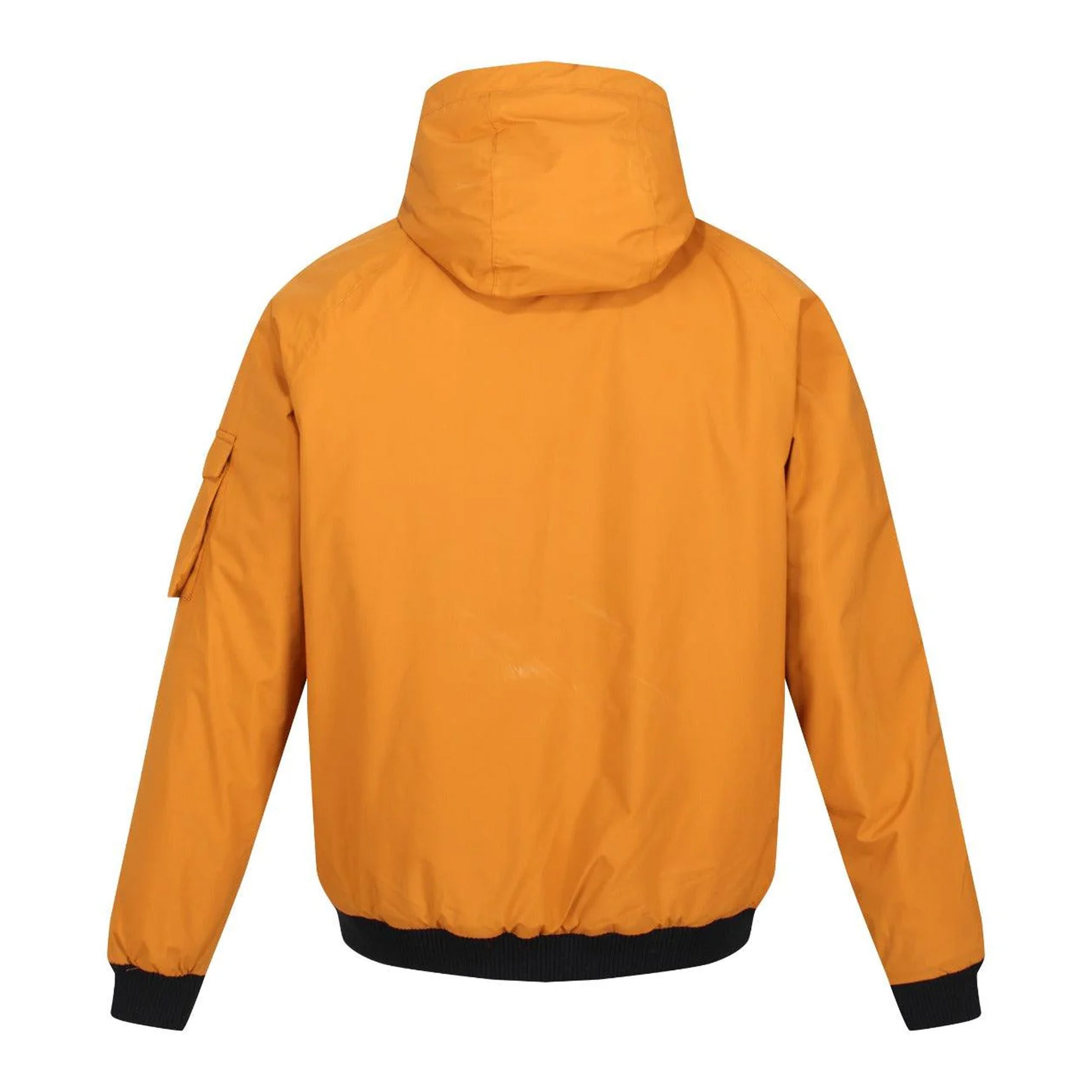 Cathay Spice - Back - Regatta Mens Faizan Hooded Waterproof Jacket