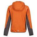 Autumn Maple-Dark Grey - Back - Regatta Childrens-Kids Prenton Lightweight Fleece Jacket