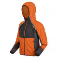 Autumn Maple-Dark Grey - Side - Regatta Childrens-Kids Prenton Lightweight Fleece Jacket