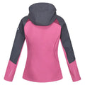 Seal Grey-Amaranth Haze-Violet - Back - Regatta Womens-Ladies Desoto VIII Lightweight Jacket