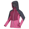 Seal Grey-Amaranth Haze-Violet - Side - Regatta Womens-Ladies Desoto VIII Lightweight Jacket