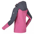 Seal Grey-Amaranth Haze-Violet - Lifestyle - Regatta Womens-Ladies Desoto VIII Lightweight Jacket