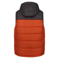 Ash-Burnt Copper - Back - Regatta Mens Nevado Heavyweight Sleeveless Body Warmer