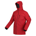 Dark Red - Back - Regatta Mens Yewbank II Parka