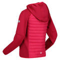 Pink Potion-Berry Pink - Lifestyle - Regatta Childrens-Kids Kielder Hybrid VI Jacket