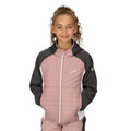Dusky Rose-Seal Grey - Lifestyle - Regatta Childrens-Kids Kielder Hybrid VI Jacket