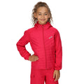 Pink Potion - Lifestyle - Regatta Childrens-Kids Kielder Hybrid VI Jacket