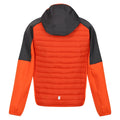 Rusty Orange-Seal Grey - Back - Regatta Childrens-Kids Kielder Hybrid VI Jacket