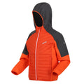 Rusty Orange-Seal Grey - Side - Regatta Childrens-Kids Kielder Hybrid VI Jacket
