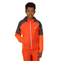 Rusty Orange-Seal Grey - Lifestyle - Regatta Childrens-Kids Kielder Hybrid VI Jacket