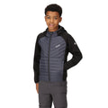 Seal Grey-Black - Lifestyle - Regatta Childrens-Kids Kielder Hybrid VI Jacket