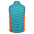 Pacific Green-Admiral Blue - Back - Regatta Mens Harrock Body Warmer