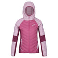 Violet-Fragrant Lilac-Amaranth Haze - Front - Regatta Womens-Ladies Trutton Lightweight Padded Jacket