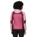 Violet-Fragrant Lilac-Amaranth Haze - Lifestyle - Regatta Womens-Ladies Trutton Lightweight Padded Jacket