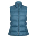Reflecting Lake - Front - Regatta Womens-Ladies Yewbank Reversible Body Warmer