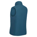 Reflecting Lake - Close up - Regatta Womens-Ladies Yewbank Reversible Body Warmer