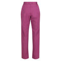 Amaranth Haze - Back - Regatta Womens-Ladies Questra IV Stretch Hiking Trousers