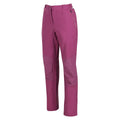 Amaranth Haze - Side - Regatta Womens-Ladies Questra IV Stretch Hiking Trousers