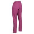 Amaranth Haze - Lifestyle - Regatta Womens-Ladies Questra IV Stretch Hiking Trousers