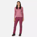 Amaranth Haze - Pack Shot - Regatta Womens-Ladies Questra IV Stretch Hiking Trousers