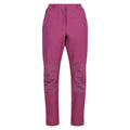 Amaranth Haze - Front - Regatta Womens-Ladies Questra IV Stretch Hiking Trousers