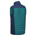 Pacific Green-Admiral Blue - Lifestyle - Regatta Mens Halton VI Lightweight Body Warmer