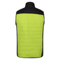 Bright Kiwi-Black - Back - Regatta Mens Halton VI Lightweight Body Warmer