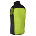 Bright Kiwi-Black - Lifestyle - Regatta Mens Halton VI Lightweight Body Warmer