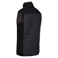 Dark Grey-Black - Lifestyle - Regatta Mens Halton VI Lightweight Body Warmer