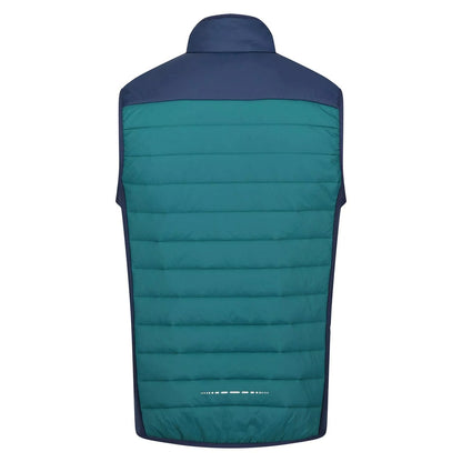 Pacific Green-Admiral Blue - Back - Regatta Mens Halton VI Lightweight Body Warmer