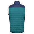 Pacific Green-Admiral Blue - Back - Regatta Mens Halton VI Lightweight Body Warmer