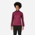 Amaranth Haze - Pack Shot - Regatta Womens-Ladies Clumber III Hybrid Jacket