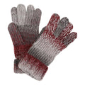 Cabernet - Front - Regatta Womens-Ladies Frosty VI Winter Gloves