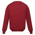 Syrah Red - Back - Regatta Mens Kaelen Jersey Knitted Jumper