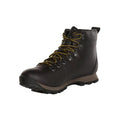 Brown - Front - Regatta Mens Cypress Evo Leather Walking Boots