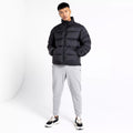 Black - Close up - Dare 2B Mens Jermaine Jenas Mentor Padded Jacket