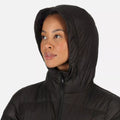 Black - Pack Shot - Regatta Womens-Ladies Pandia II Hooded Jacket