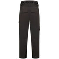 Black - Back - Dare 2B Mens Absolute II Ski Trousers