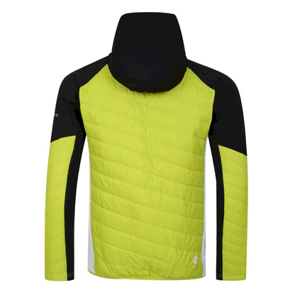 Black-Green Algae - Back - Dare 2B Mens Gendarme Padded Jacket