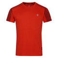 Cinnamon-Tuscan Red - Front - Dare 2B Mens Discernible III T-Shirt