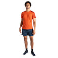 Cinnamon-Tuscan Red - Lifestyle - Dare 2B Mens Discernible III T-Shirt