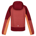 Mineral Red-Rumba Red - Back - Regatta Childrens-Kids Prenton II Hooded Soft Shell Jacket