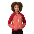 Mineral Red-Rumba Red - Lifestyle - Regatta Childrens-Kids Prenton II Hooded Soft Shell Jacket
