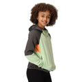 Quiet Green-Seal Grey - Lifestyle - Regatta Childrens-Kids Prenton II Hooded Soft Shell Jacket